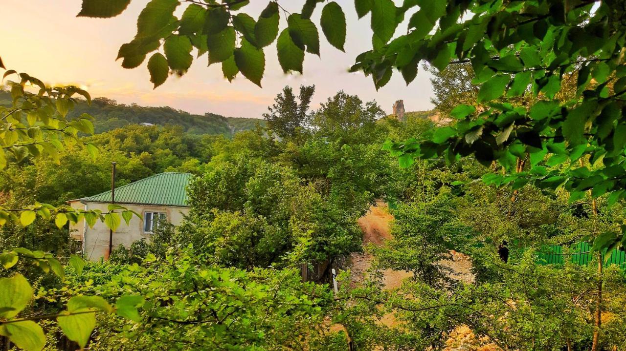 Vaso'S Guesthouse Katskhi Exteriér fotografie