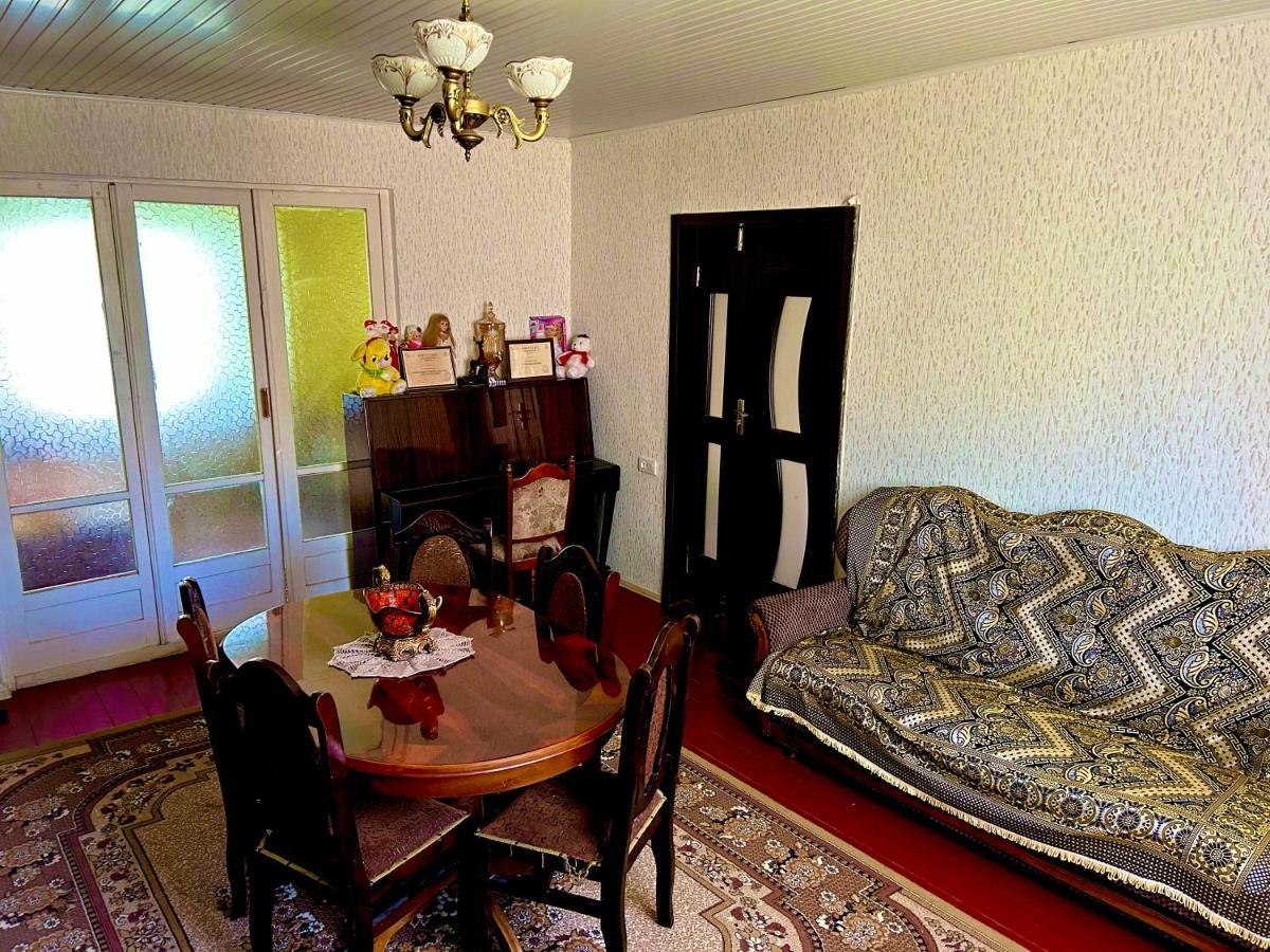 Vaso'S Guesthouse Katskhi Exteriér fotografie
