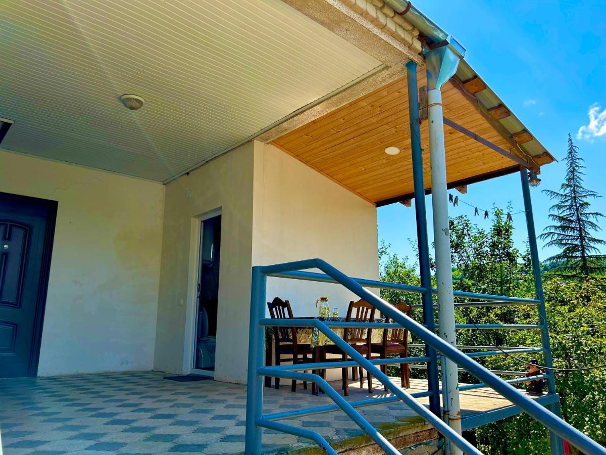 Vaso'S Guesthouse Katskhi Exteriér fotografie